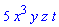 5*x^3*y*z*t