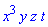 x^3*y*z*t