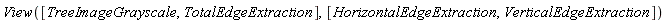 View([TreeImageGrayscale, TotalEdgeExtraction], [HorizontalEdgeExtraction, VerticalEdgeExtraction])