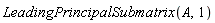 LeadingPrincipalSubmatrix(A, 1)