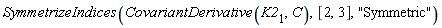 SymmetrizeIndices(CovariantDerivative(K2[1], C), [2, 3], "Symmetric")