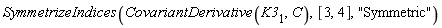 SymmetrizeIndices(CovariantDerivative(K3[1], C), [3, 4], "Symmetric")