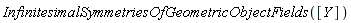 InfinitesimalSymmetriesOfGeometricObjectFields([Y])