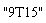 "9T15"