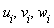 u[i], v[i], w[i]