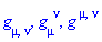 Physics:-g_[mu, nu], Physics:-g_[mu, `~nu`], Physics:-g_[`~mu`, `~nu`]