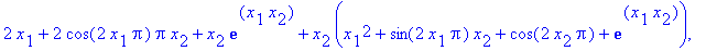 g := proc (x) options operator, arrow; [-sin(2*x[1]...