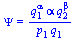 Psi = `/`(`*`(`^`(q[1], alpha), `*`(alpha, `*`(`^`(q[2], beta)))), `*`(p[1], `*`(q[1])))